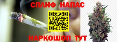гидропоника Братск